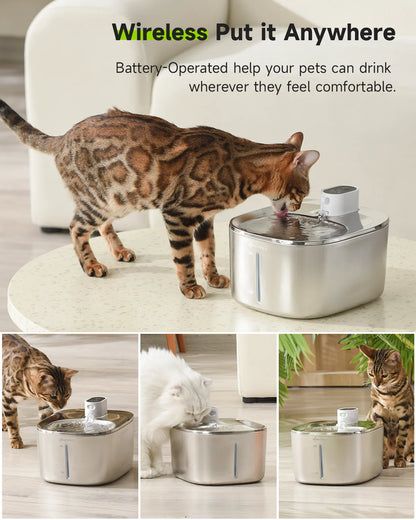 AquaFreedom : Fontaine pour animaux de compagnie sans fil avec capteur intelligent 